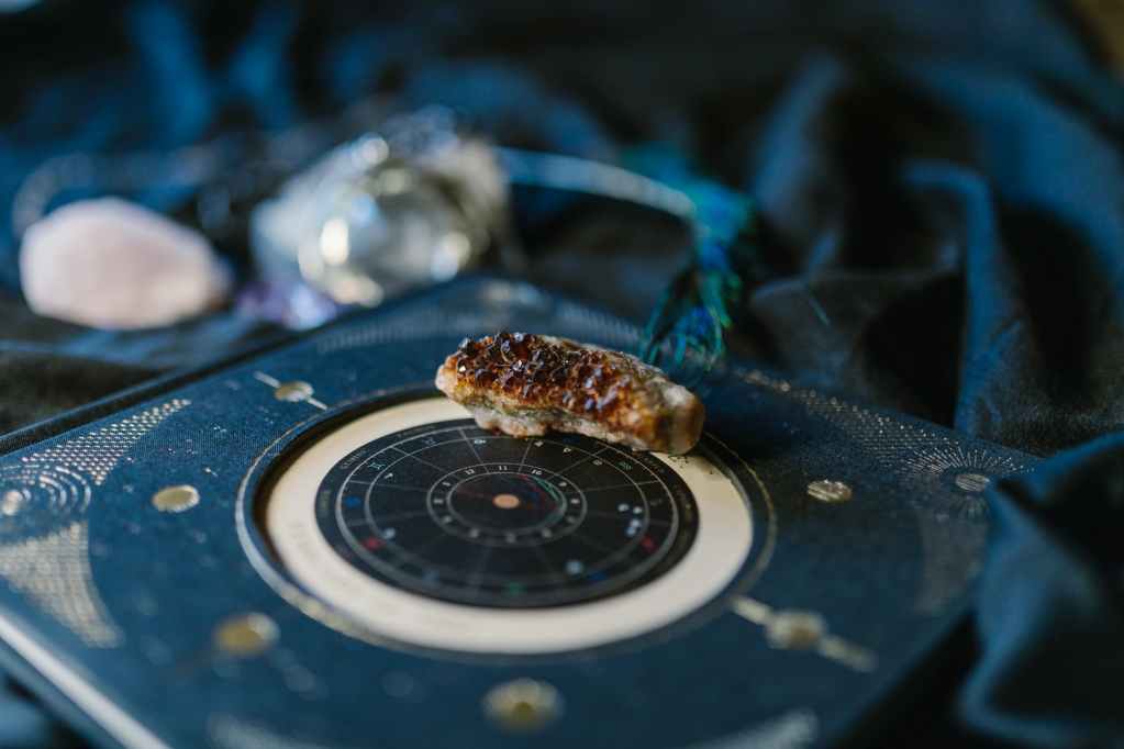 food nature sun industry